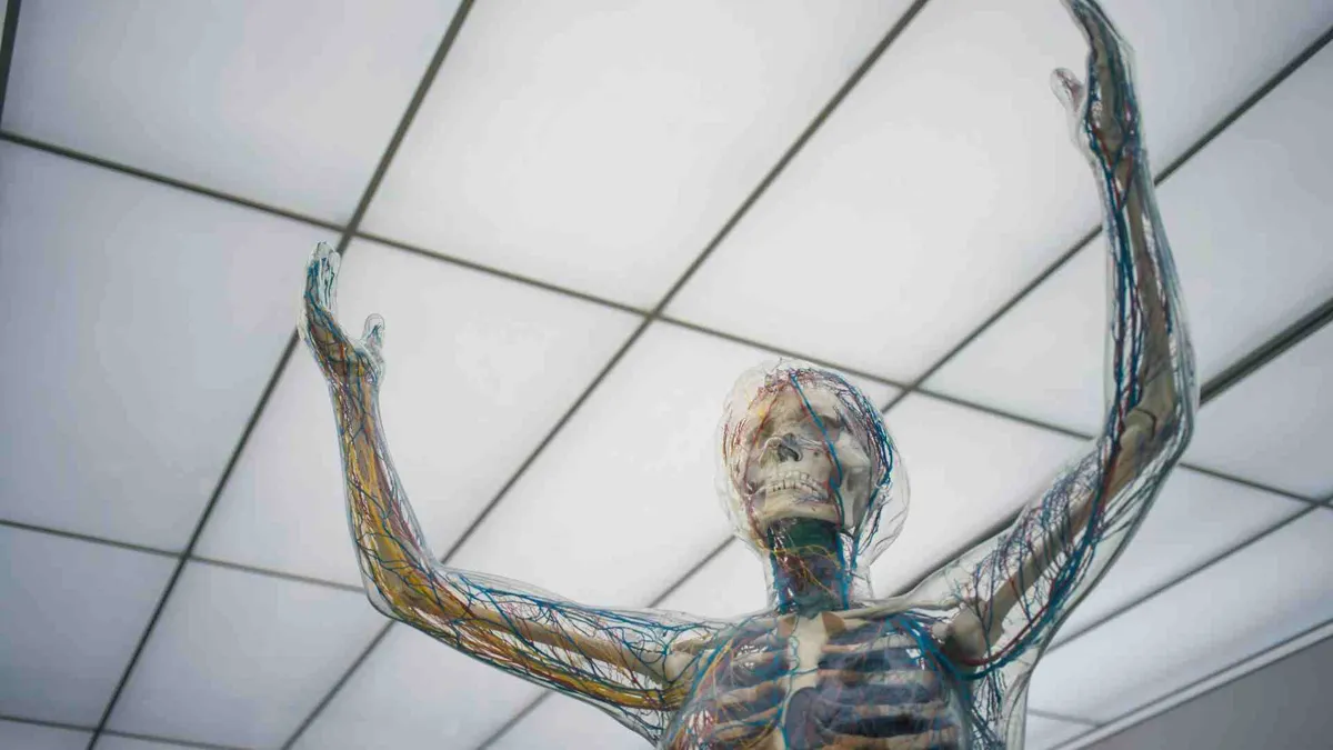 A medical mannequin in an office environment.