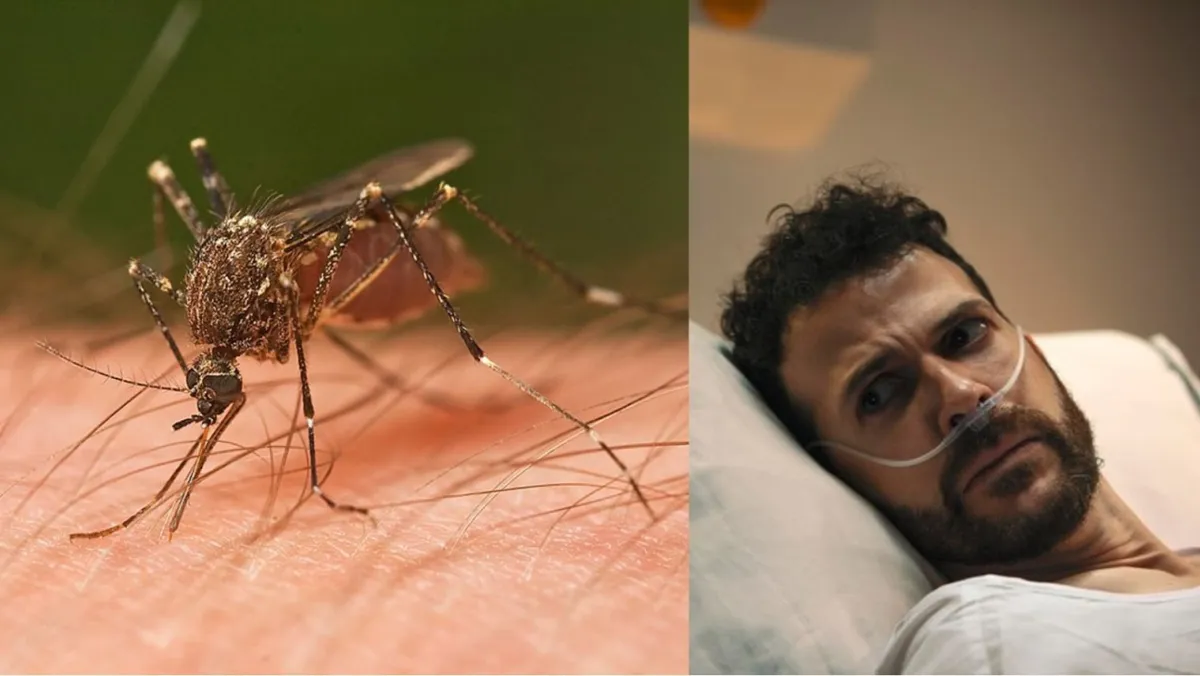 A tiny mosquito is pictured as it prepares to bite a human/Very sick man pictured staring over his shoulder as he lies in a hospital bed