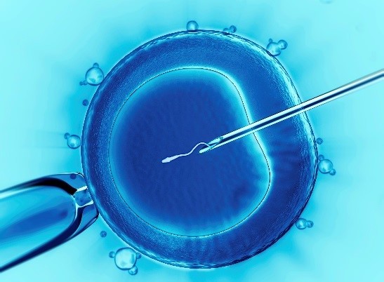 An illustration of an egg cell and an IVF needle