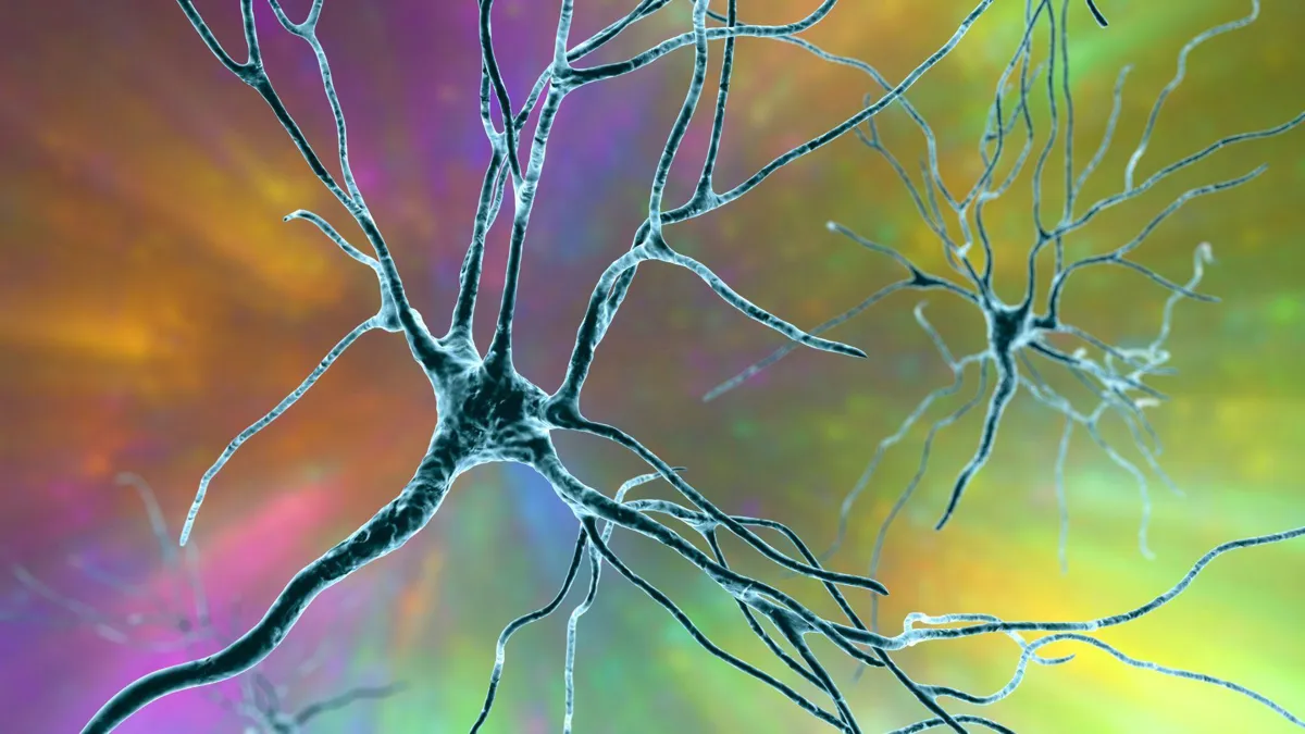 A digital illustration of neurons within the brain