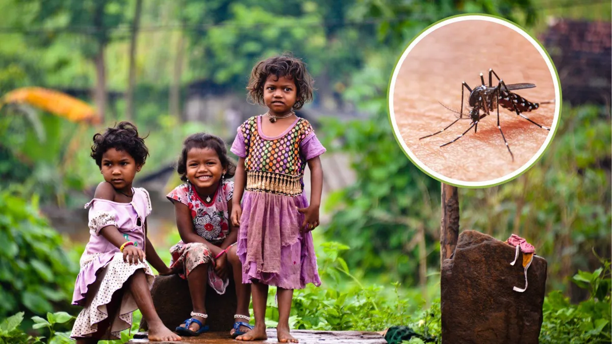 A photograph of three young girls in India/A close-up photograph of a mosquito on skin