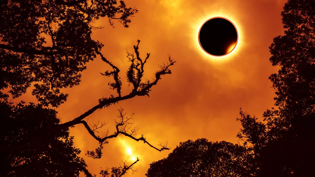 A bright solar eclipse in a red sky with dark trees in the foreground