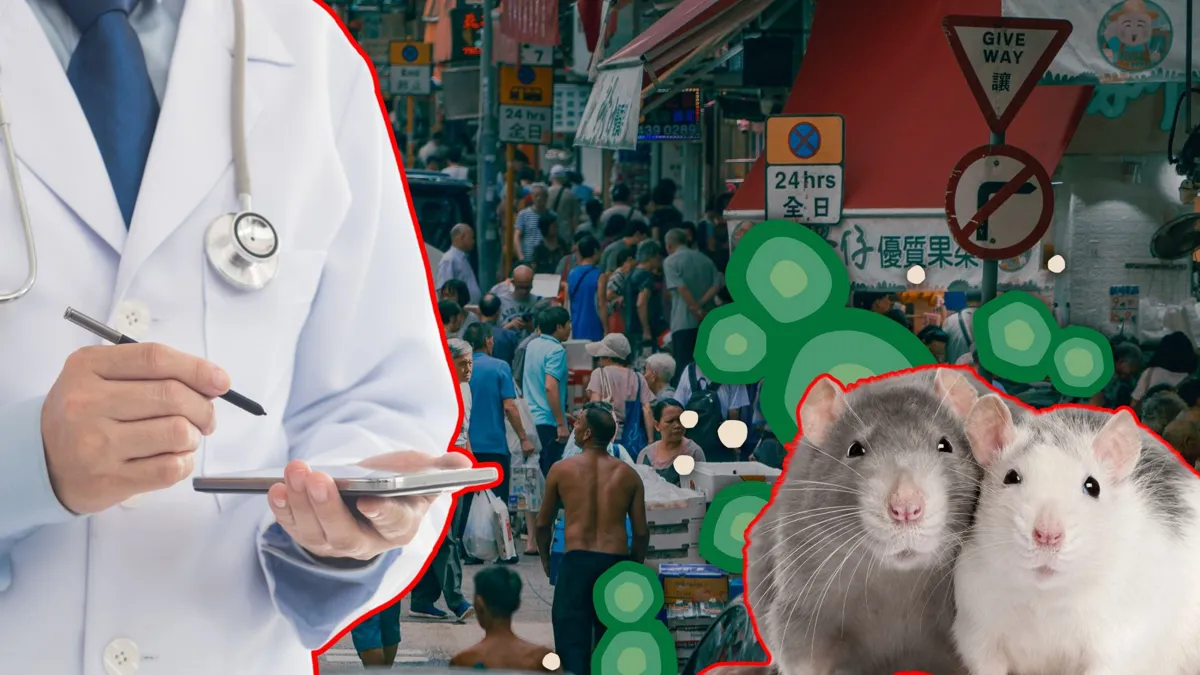 Rat Hepatitis Recently Discovered in Humans for the First Time