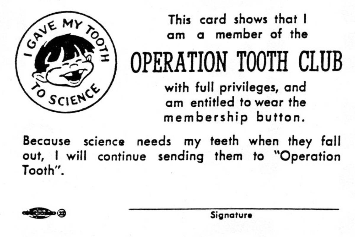 An Operation Tooth Club card inviting children to donate teeth