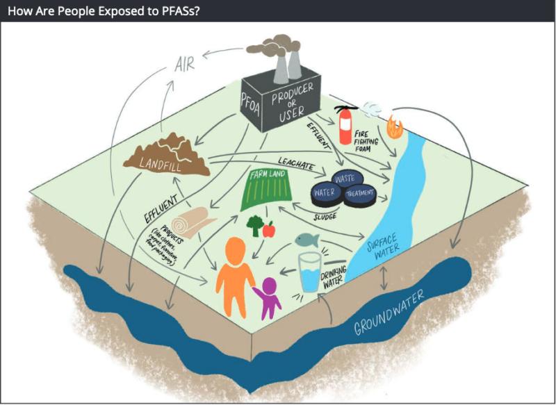 An archive diagram of possible exposure pathways.