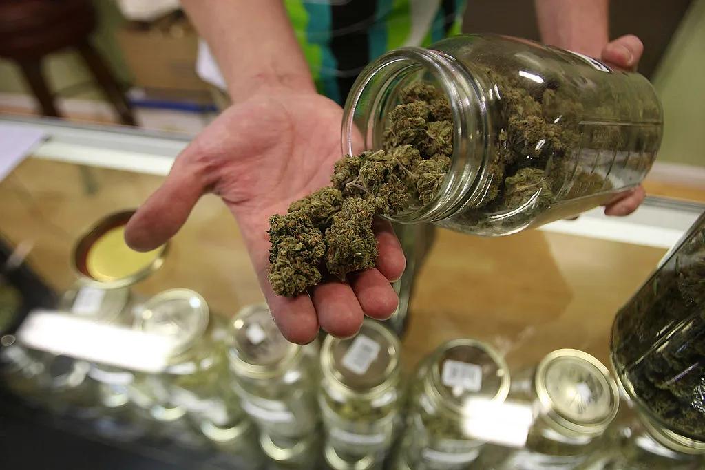Dave Warden, a bud tender at Private Organic Therapy (P.O.T.), a non-profit co-operative medical marijuana dispensary, displays various types of marijuana available to patients