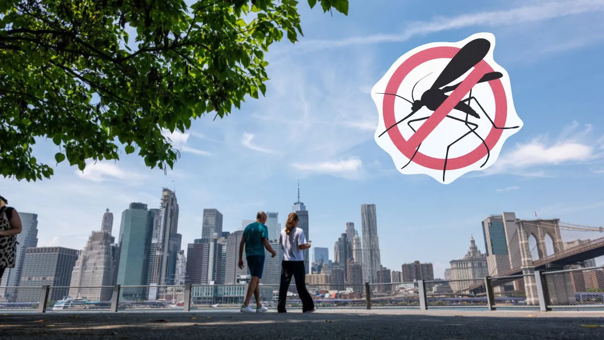 A view of a walk path in New York City with two people walking and an imposed photo of a no mosquito sign