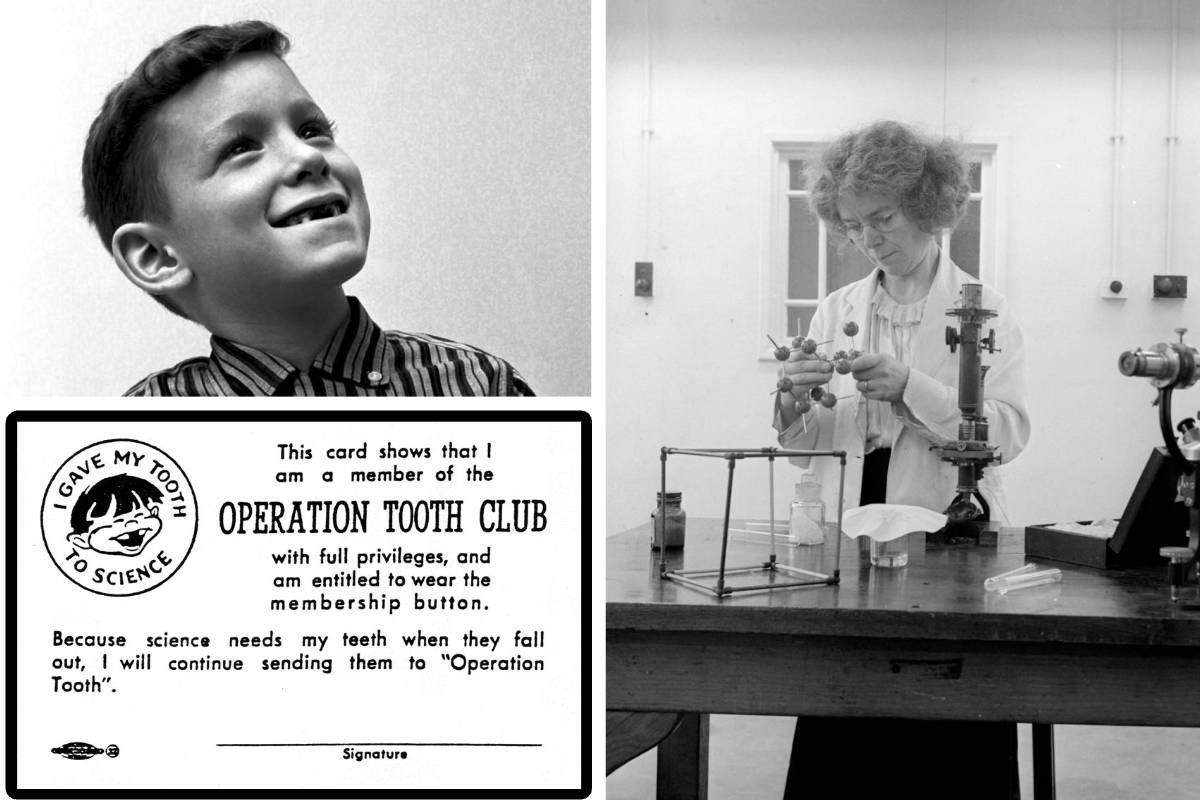 A montage of a child, laboratory work and an Operation Tooth Club card