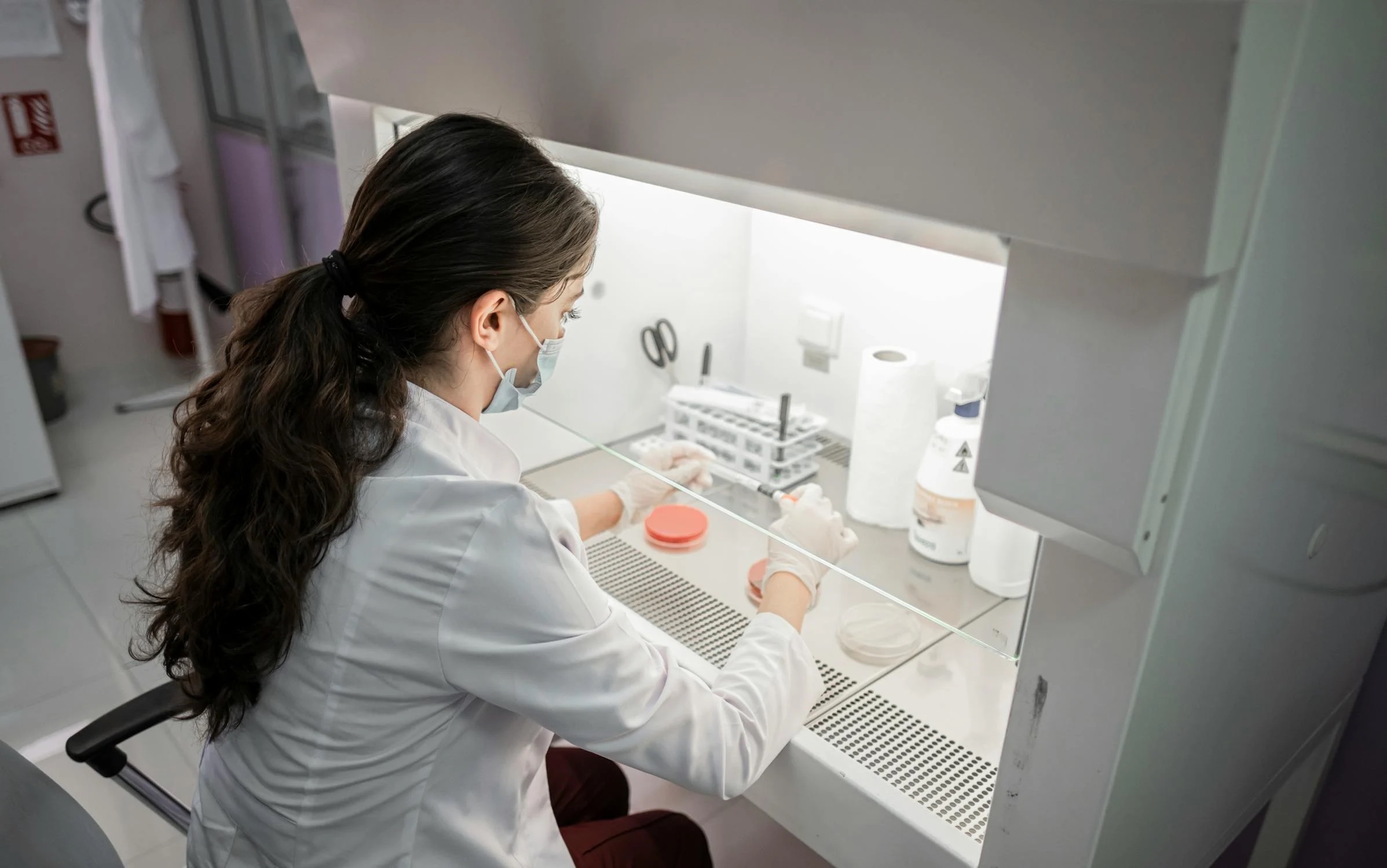 A laboratory worker at a clean workbench