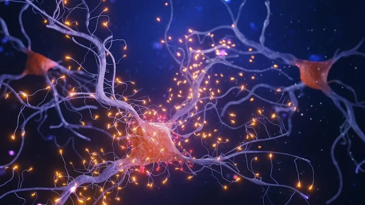 Illustration of neurons in the brain affected by Alzeimer’s