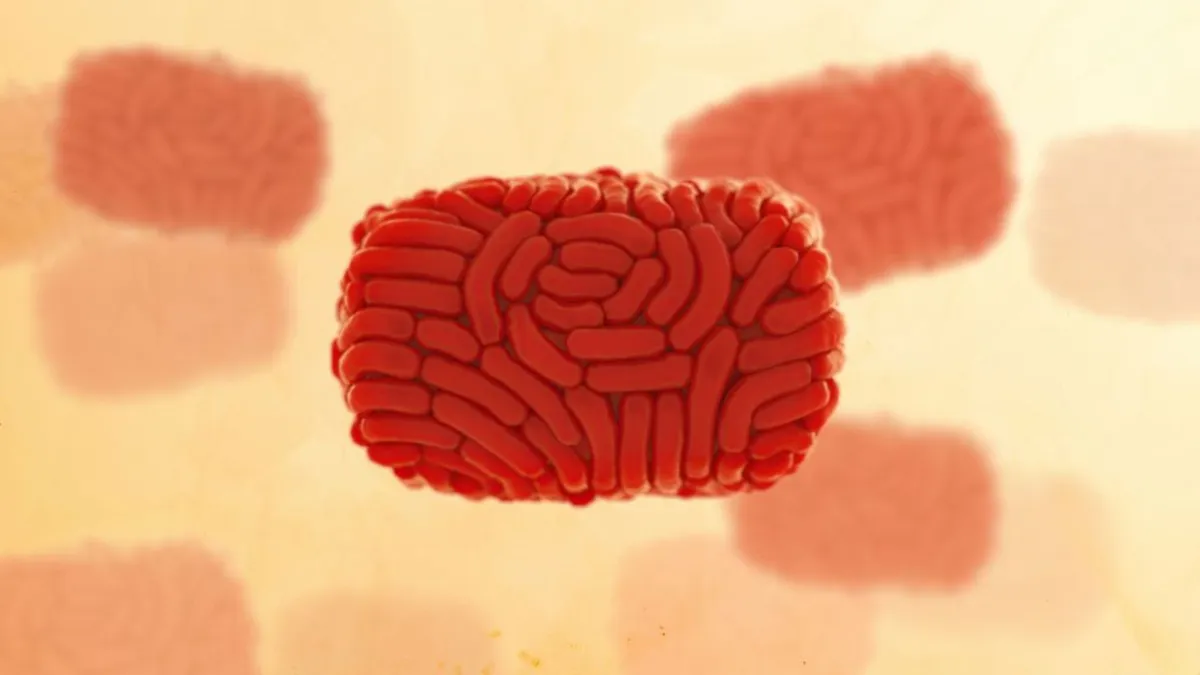 An image of a virus particle with several other small particles in the background