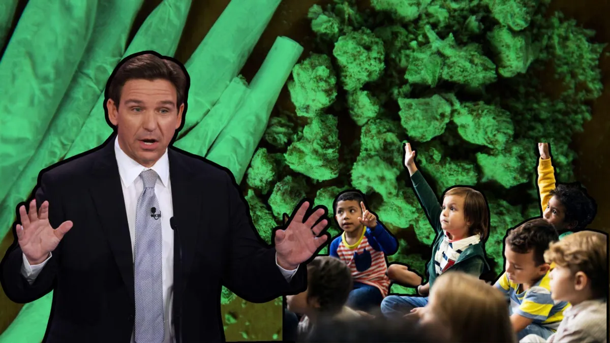 A green-tinted photograph of marijuana and several joints/Florida’s Governor Ron DeSantis speaks to an audience/A group of young students raise their hands in class