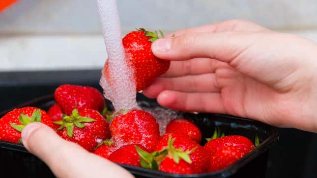 Strawberries being washed; illustrative archive food photograph.