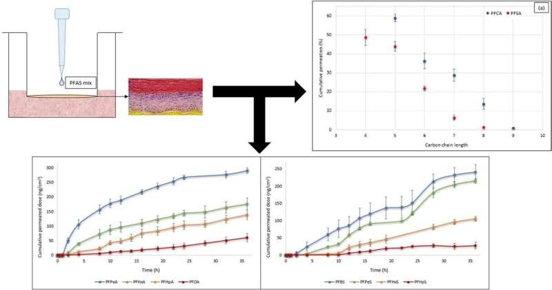 An archived experimental diagram and chart; source context retained, not new clinical results.