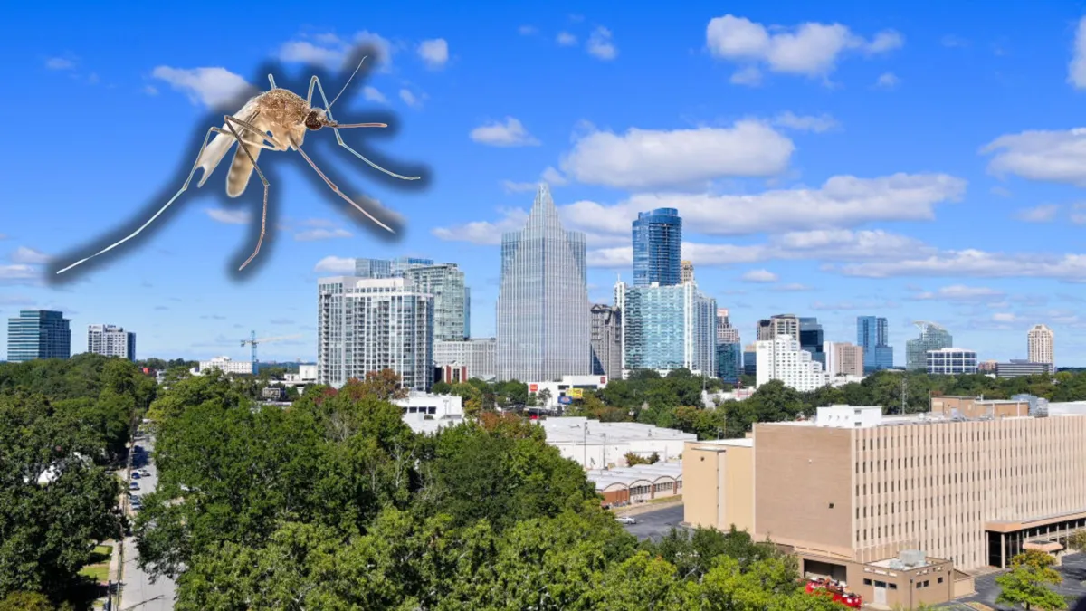 The skyline of Atlanta with a large mosquito on the photo